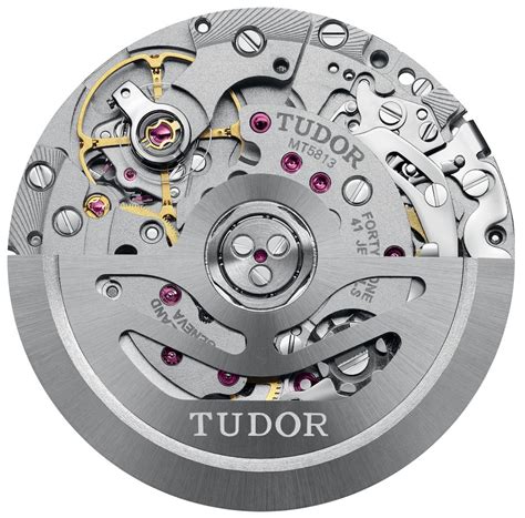 tudor crono 1047|tudor mc 5813.